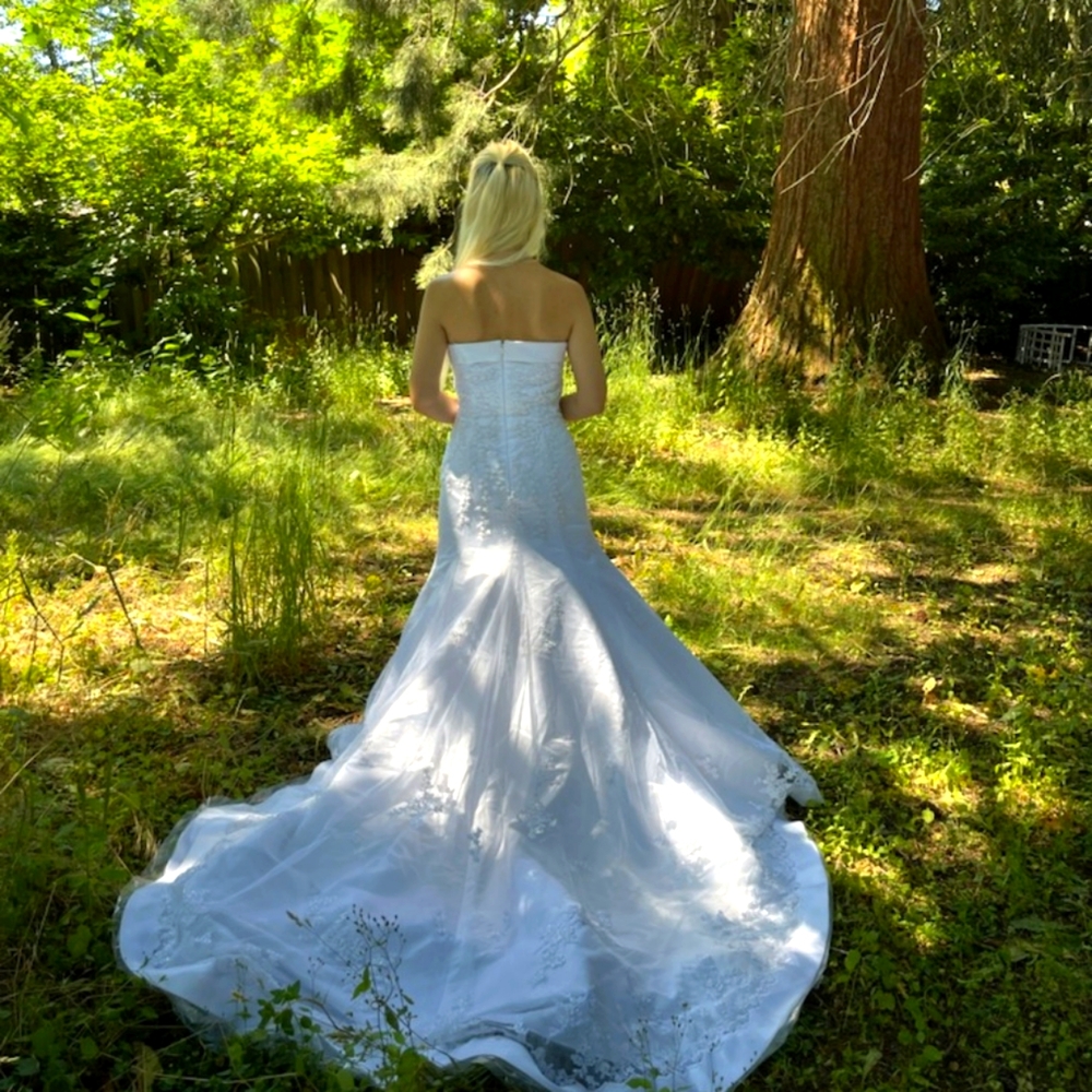San Patrick Strapless mermaid wedding dress